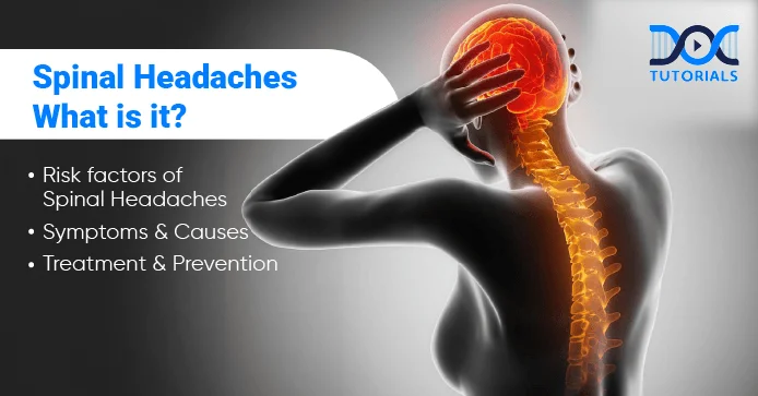 Spinal Headache causes