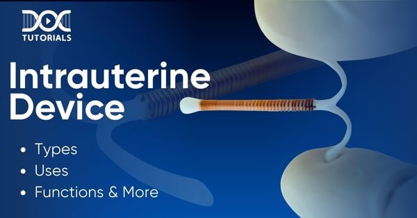 Intrauterine Device