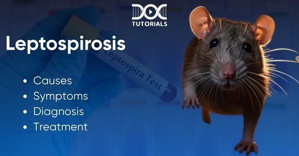 Leptospirosis
