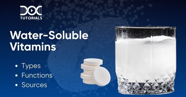 Water Soluble Vitamins