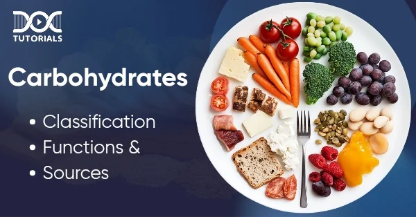 Carbohydrates