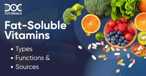 Fat Soluble Vitamins