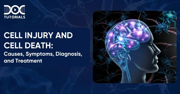 Cell Injury and Cell Death