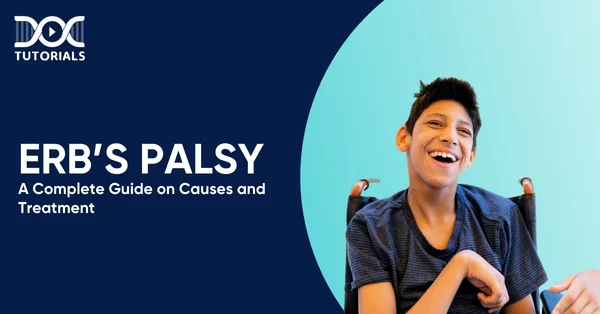 Erb’s Palsy