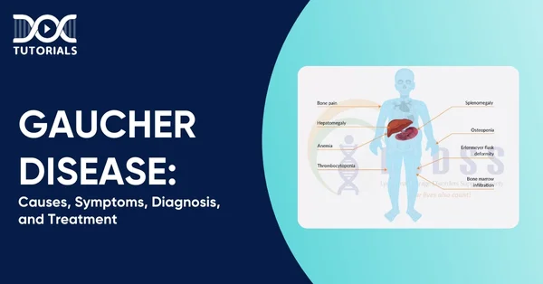 Gaucher Disease