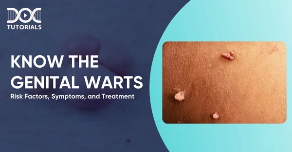 Genital Warts