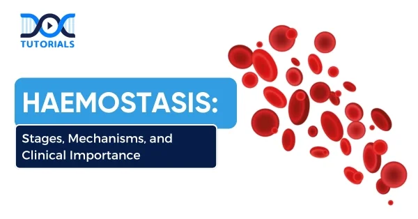 Haemostasis