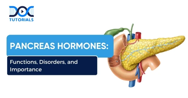 Pancreas Hormones