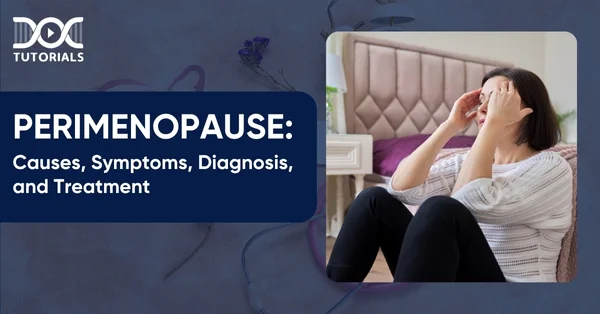 Perimenopause