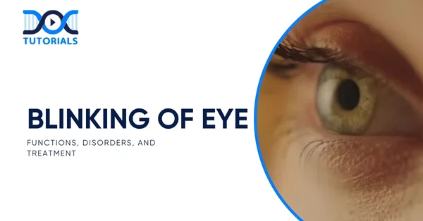 Blinking of Eye