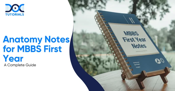 MBBS Anatomy Notes | DocTutorials