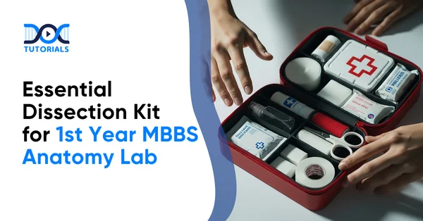 Essential Dissection Kit