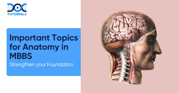 Important Topics for Anatomy in MBBS