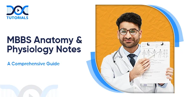 MBBS Anatomy and Physiology Notes