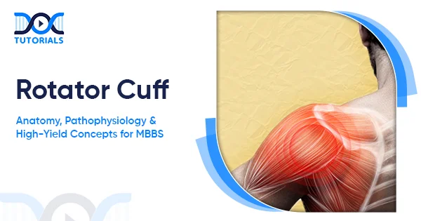 Rotator Cuff