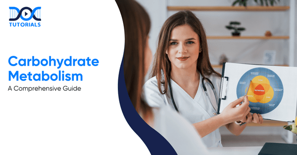 Carbohydrate Metabolism