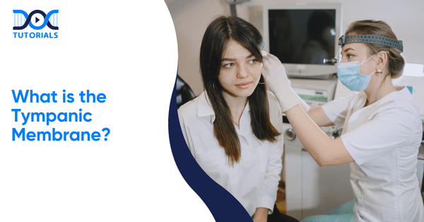 Tympanic Membrane