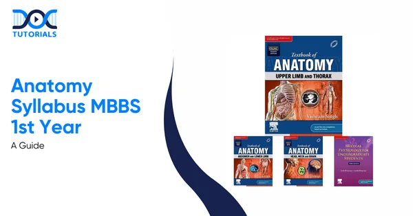 Anatomy Syllabus MBBS 1st Year