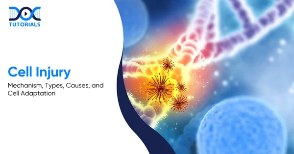 Cell Injury | DocTutorials