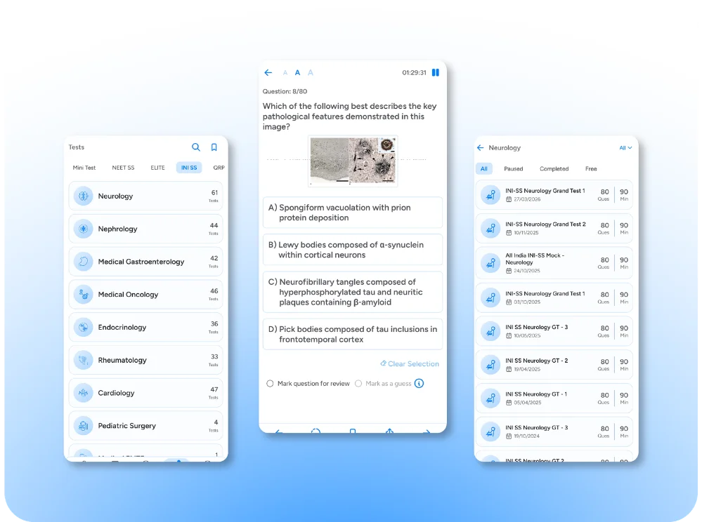 INI SS DM Test Series
