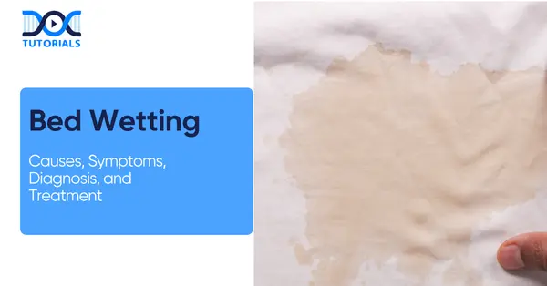 Bed wetting