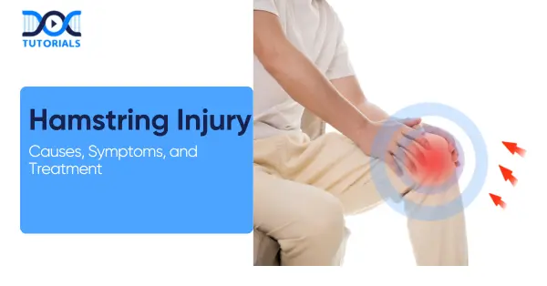 Hamstring Injury