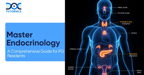 Master-Endocrinology